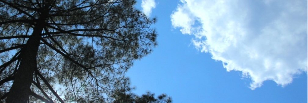 me_vcool's profile banner image