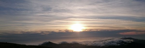 yarnold_steve Profile Banner