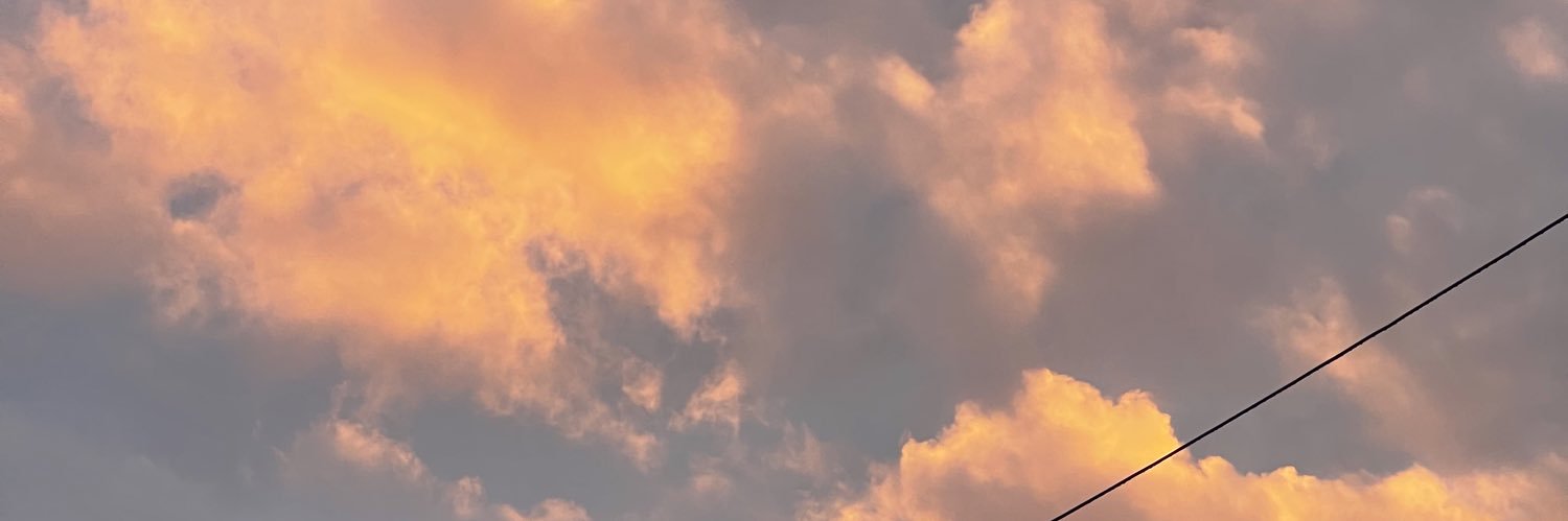 izzytorrez9's profile banner image