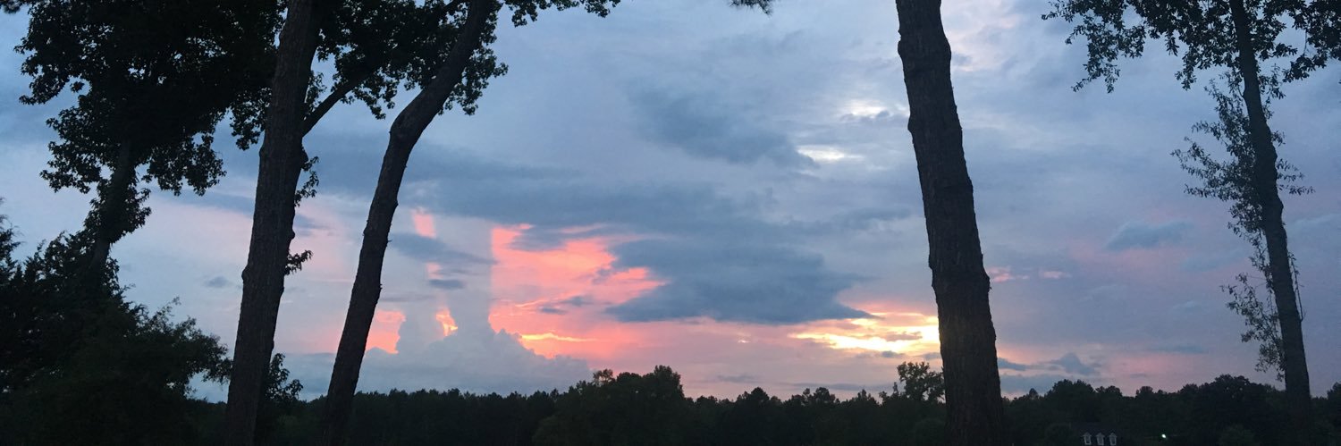 Robin Salars, M.Ed. banner