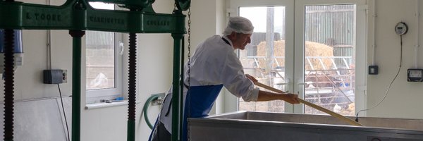 Smarts_Cheese Profile Banner