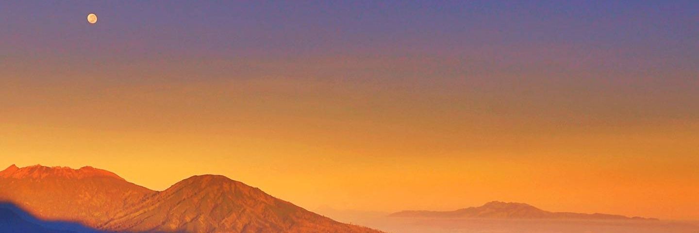 Bess banner