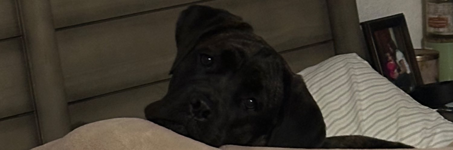 pcornier_'s profile banner image