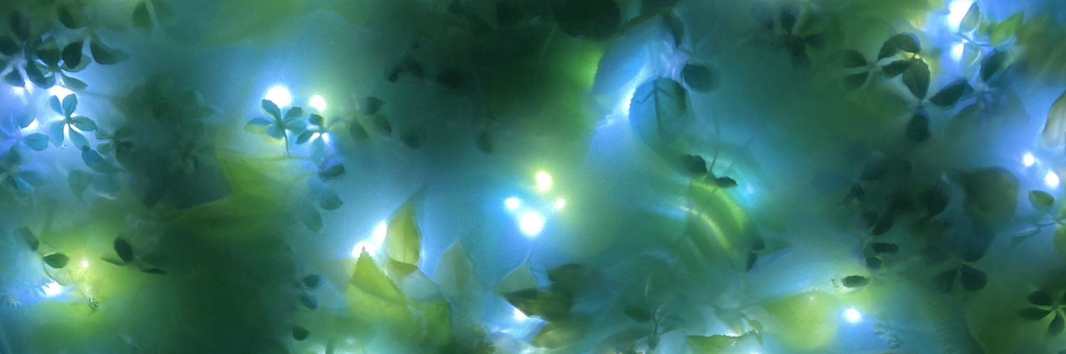 syarumi's profile banner image