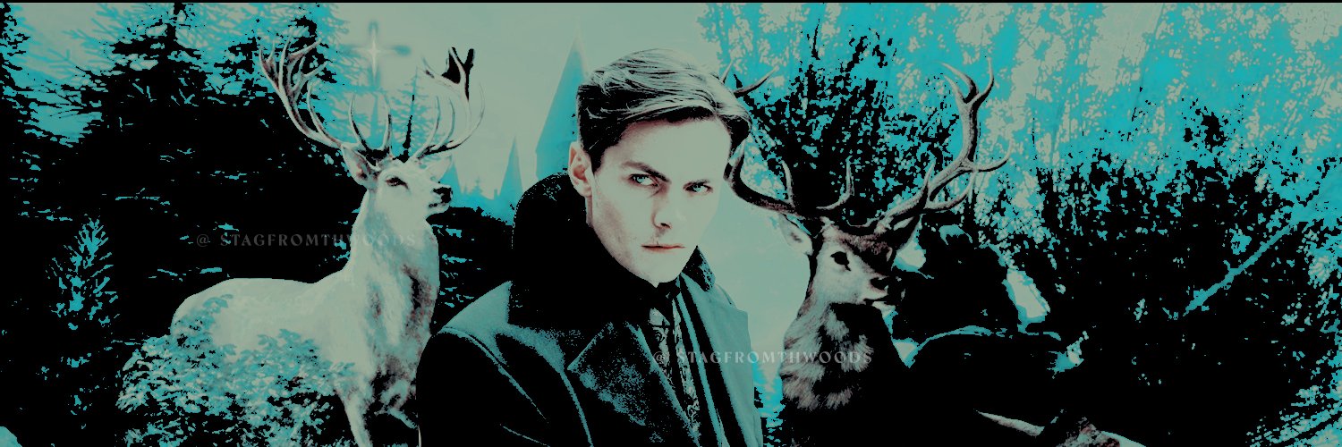 ‍ ‍ ‍ ‍ ‍‍ ‍ ‍ ‍ ‍ ‍‍ ‍𝒫̲𝑹𝑶𝑵𝑮𝑺. banner