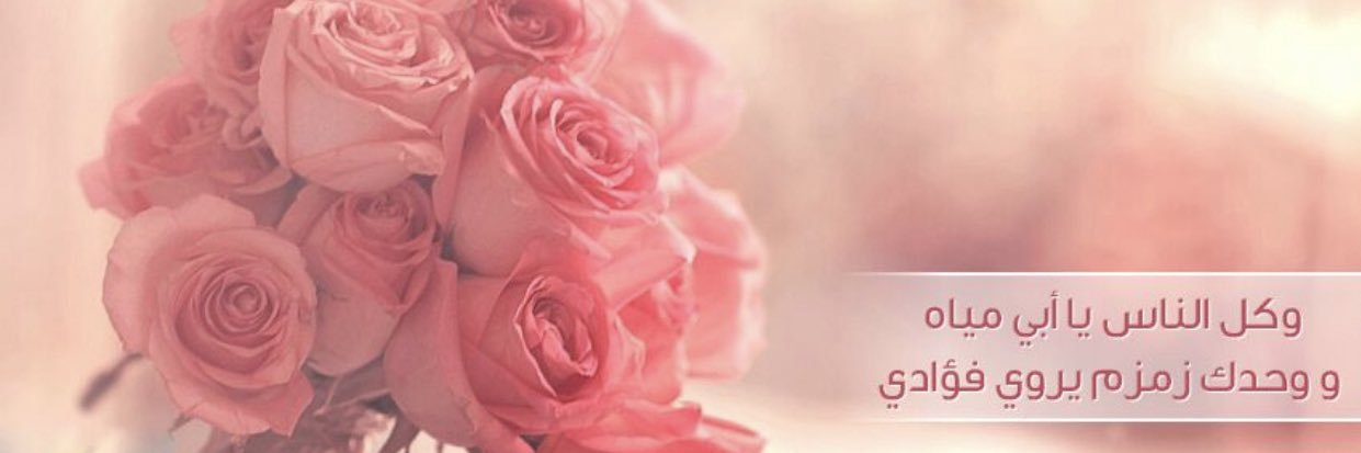 norahamb's profile banner image
