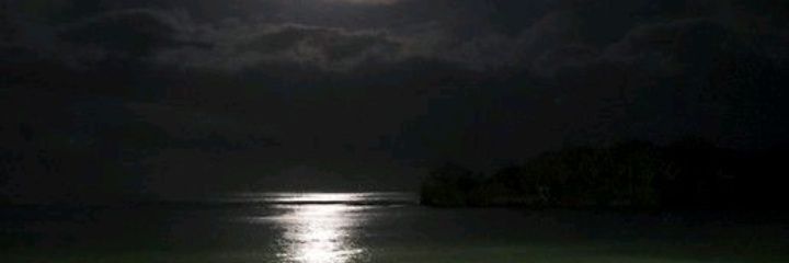 V banner