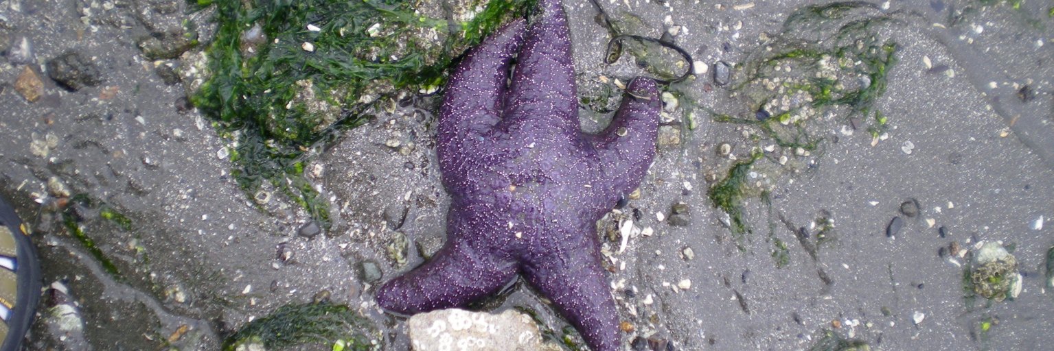 Mary Beth Gley banner