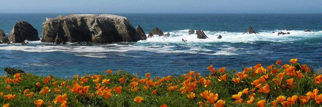 Jenn Engstrom banner