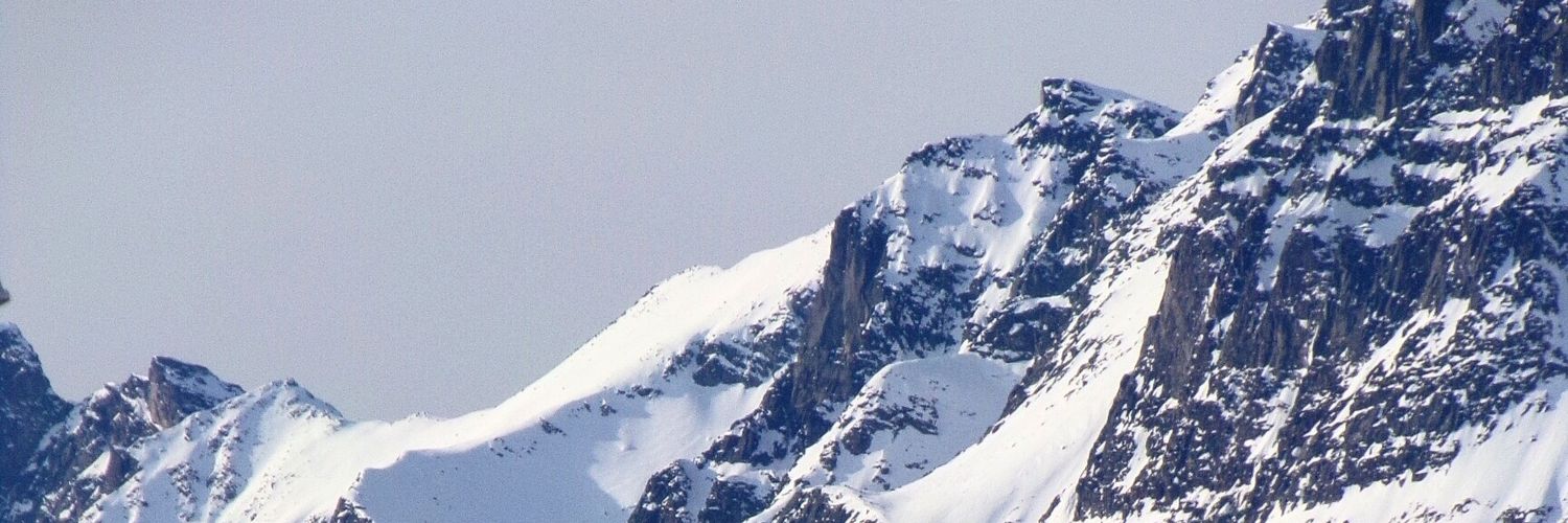 SkorekCatherine's profile banner image