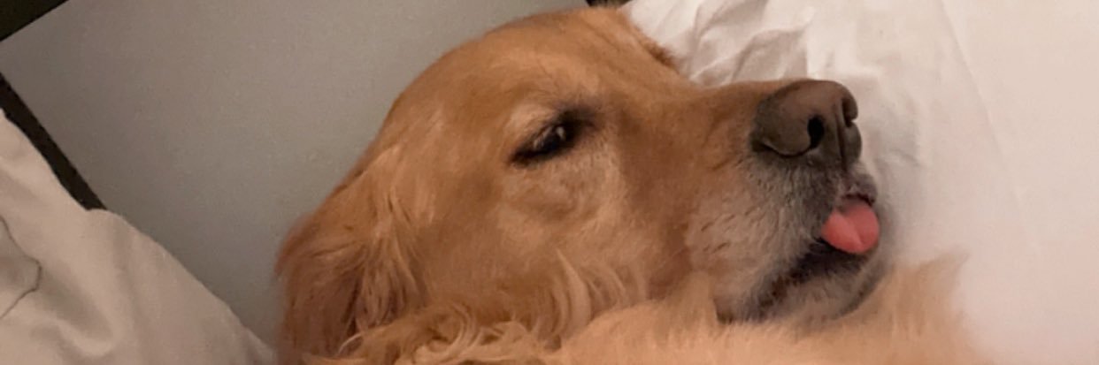 AllysonDunham_'s profile banner image