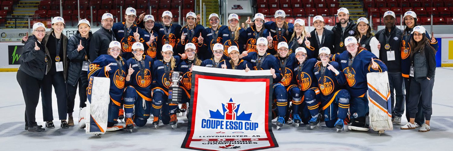 Alberta Female Hockey League banner