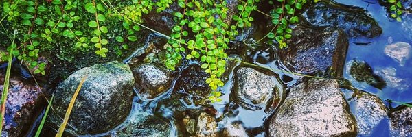 Jess_Puddister Profile Banner