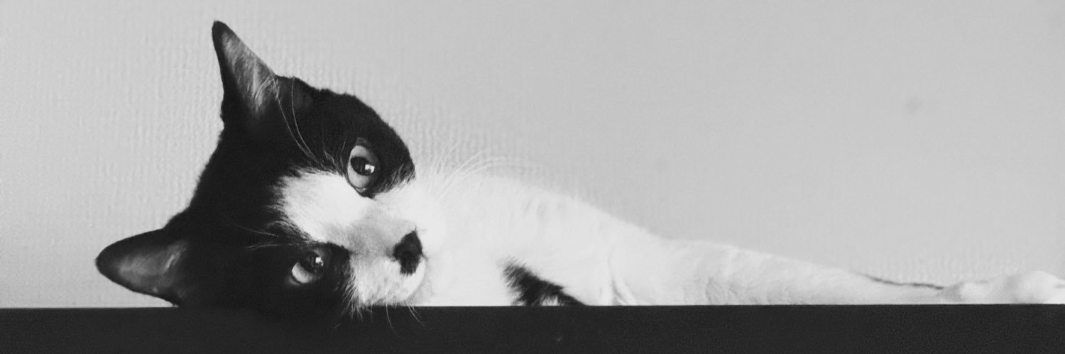 quei's profile banner image