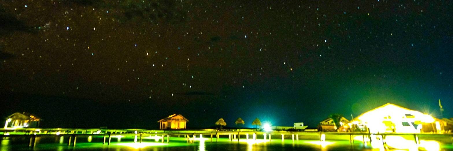 petypetty's profile banner image