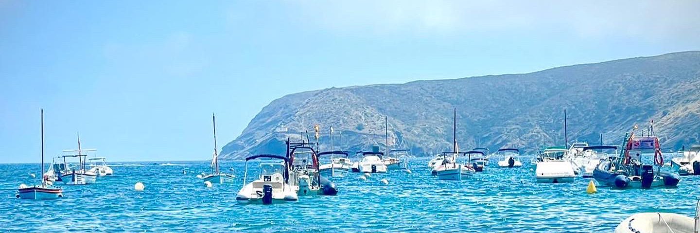 Courtney Lund Spangenberg banner