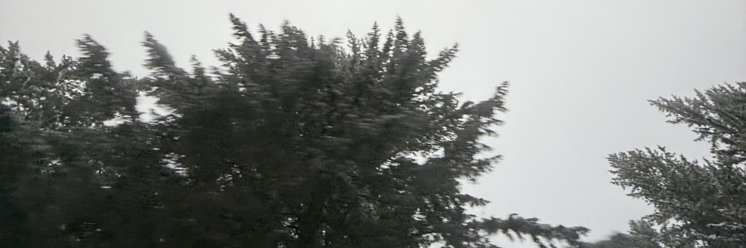 antonesworld's profile banner image