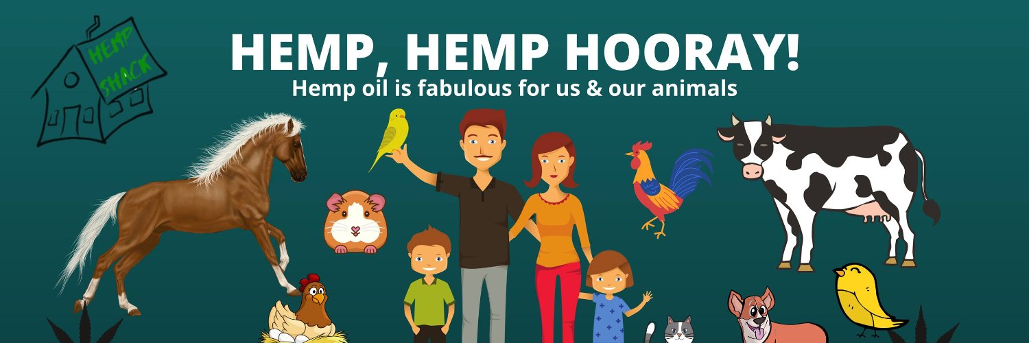 CoolCanary's profile banner image