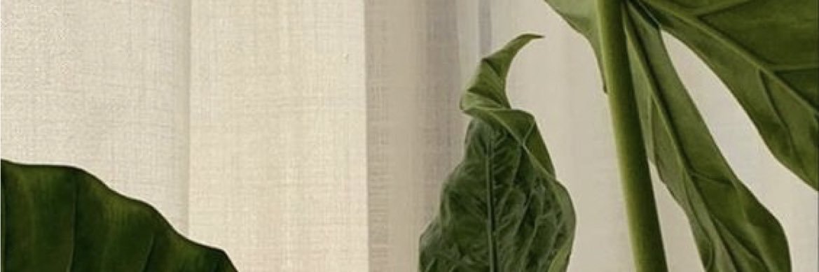3beer banner