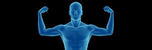 𝗦𝗰⚽️𝘁𝘁- 𝗣𝗵𝘆𝘀𝗶𝗼 𝗦𝘁𝗿𝗲𝗻𝗴𝘁𝗵 𝗖𝗹𝘂𝗯 banner