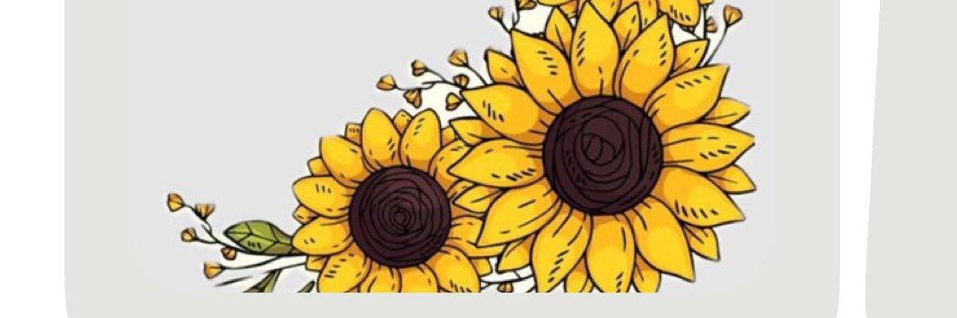 Vaca2511's profile banner image