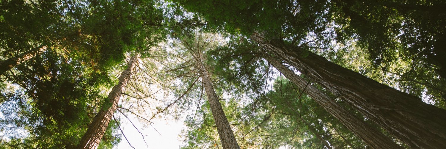 Juniper Ridge banner