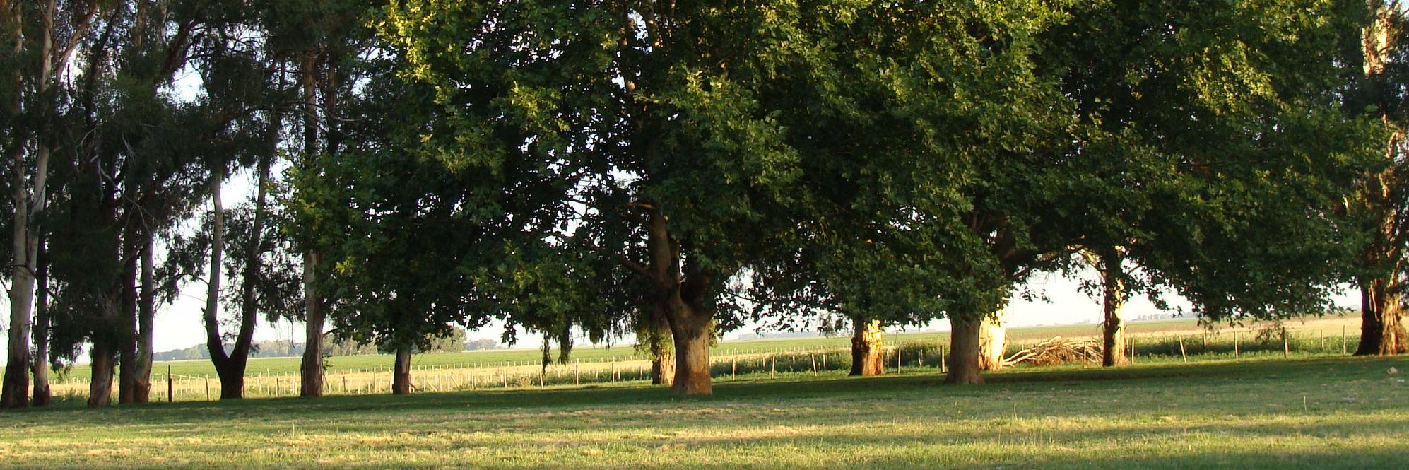 MEmiCoraggio's profile banner image