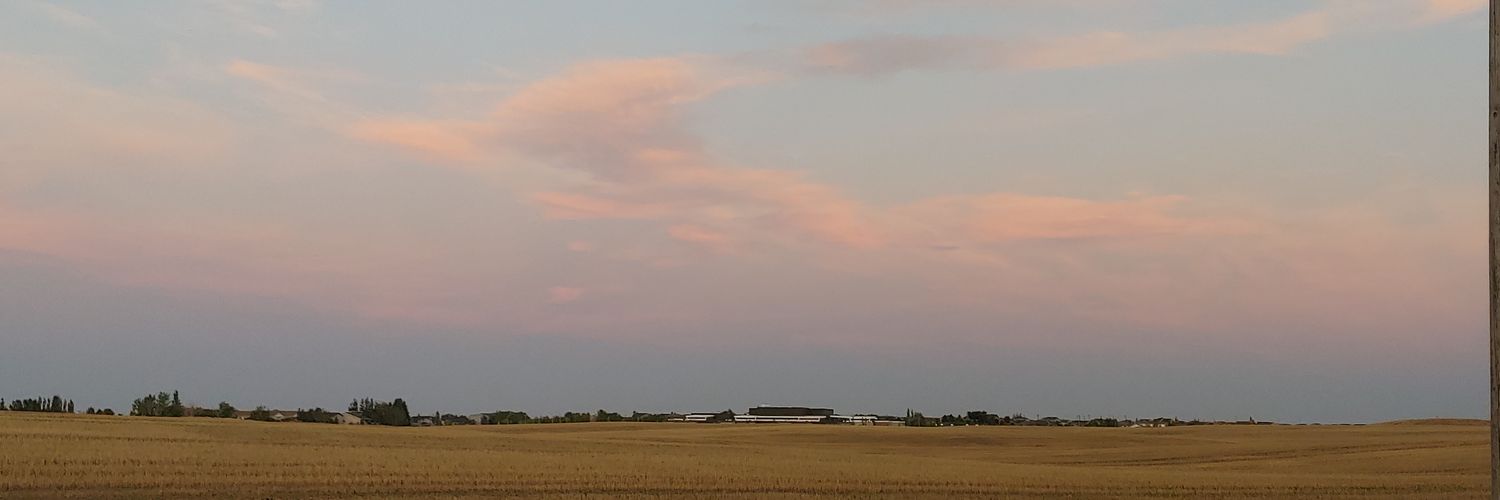 Liam R. Mitchell banner