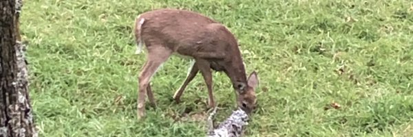 Tylerhelsel22 Profile Banner