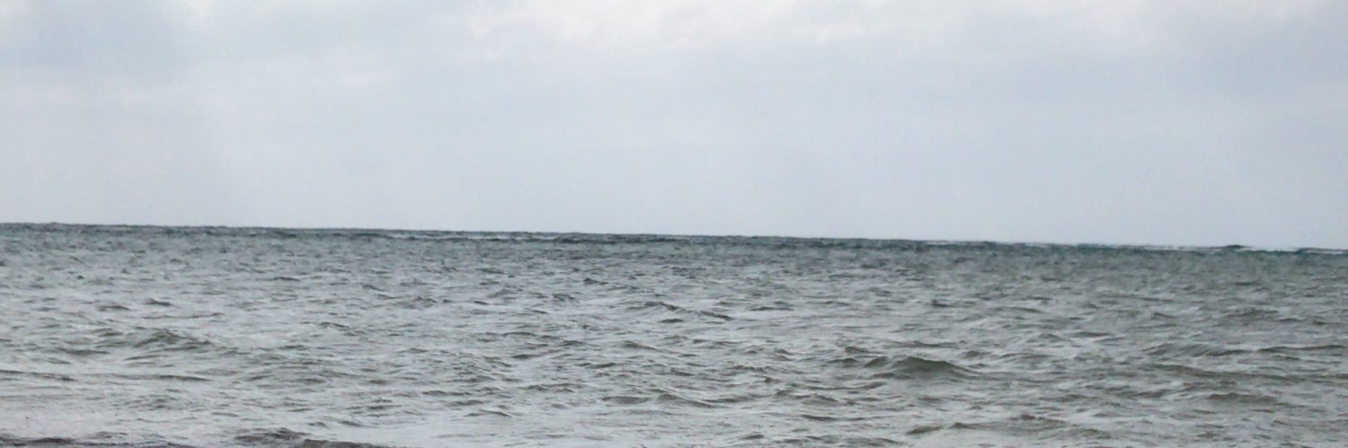 AlsaediX47's profile banner image