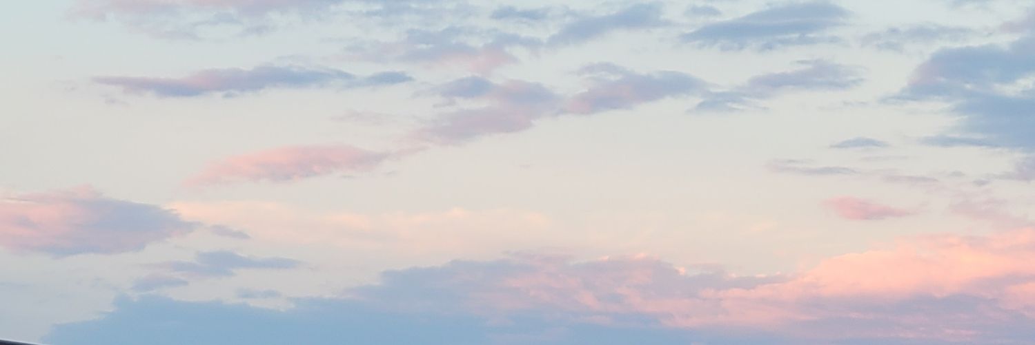 Victoria Savich banner
