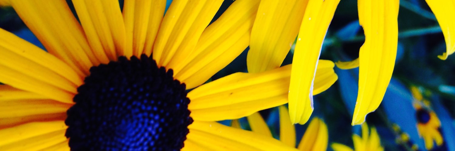 breton4_nik's profile banner image