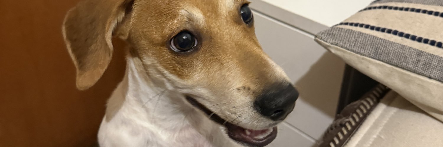 CamiRegoo's profile banner image