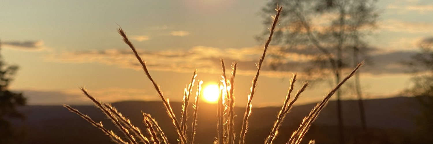 JulieVitko's profile banner image