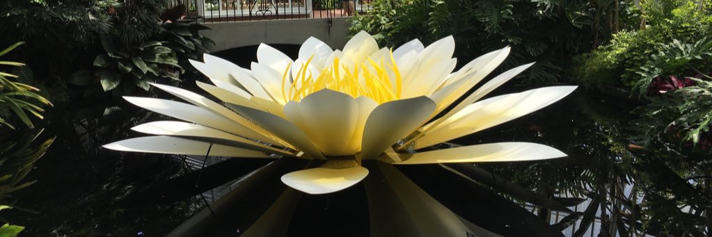 TarynMarieBell's profile banner image