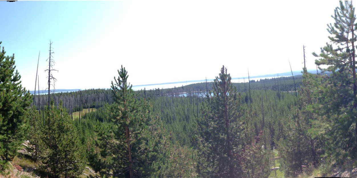 Stephanie Brockmann banner