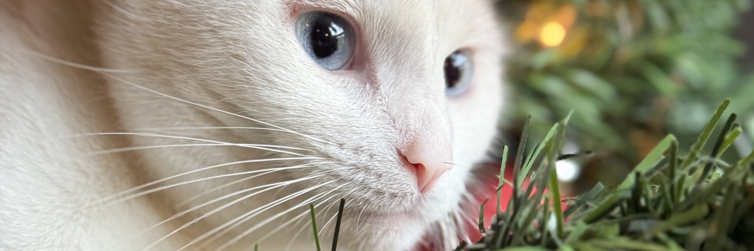 SupaMorgan01's profile banner image