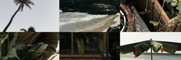 enfzo Profile Banner