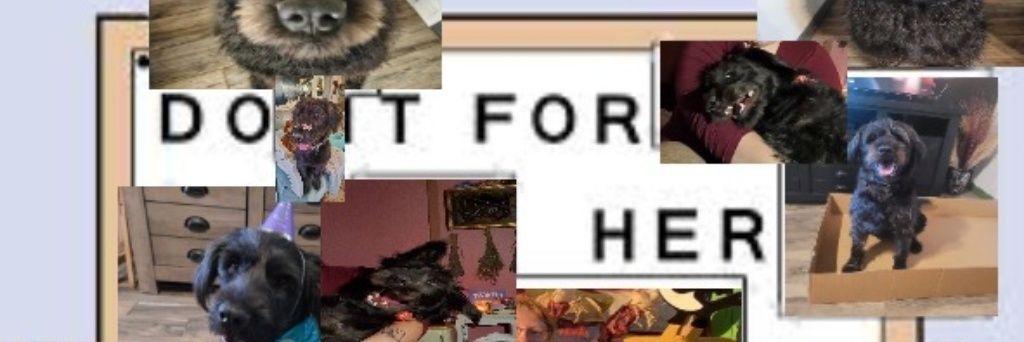 _tinyplants_'s profile banner image