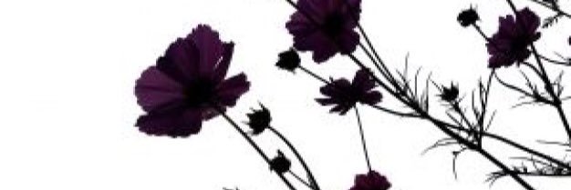 FlowerOfHell_'s profile banner image