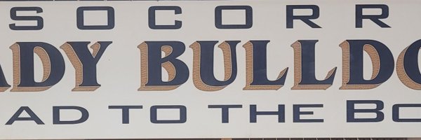 LadyBulldogSB Profile Banner