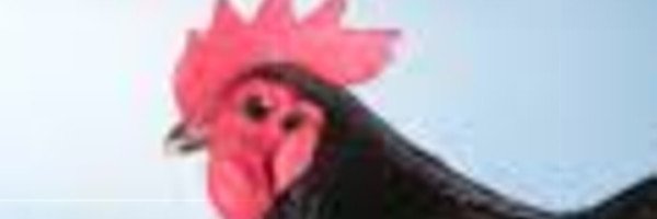 bookandvolume's profile banner image