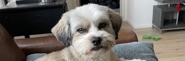 smb510 Profile Banner