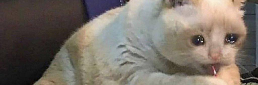 kstinmno's profile banner image