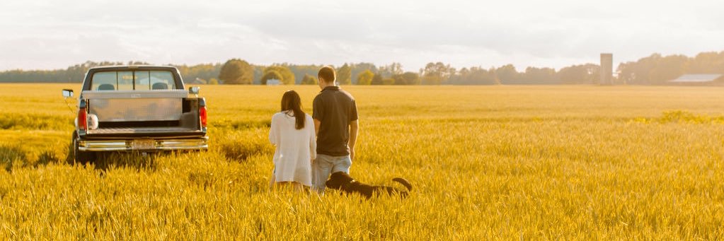 alinicole98's profile banner image