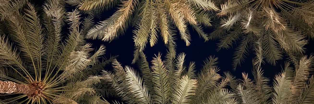 ➰ banner