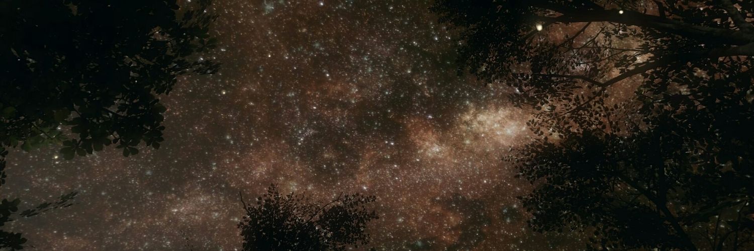 raiden_zero_zek's profile banner image