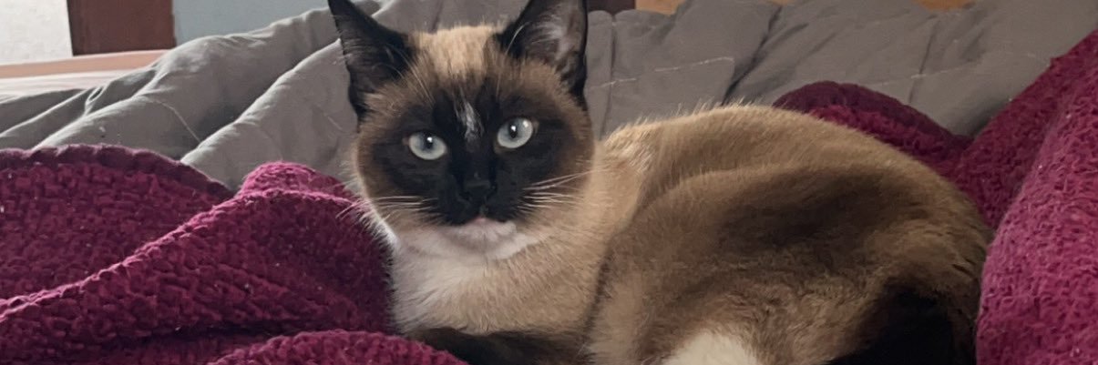 connerrr___'s profile banner image