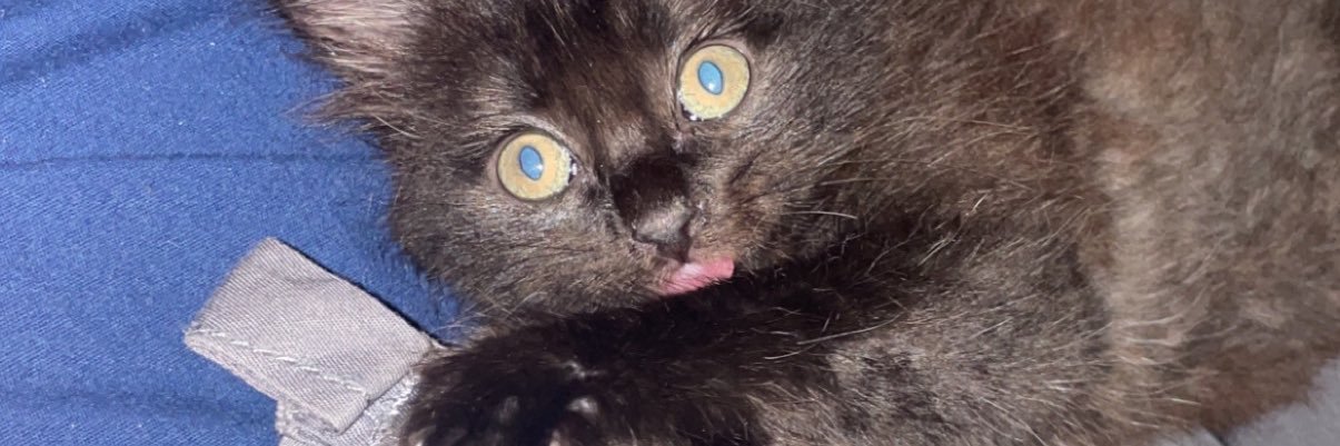 terxfie's profile banner image