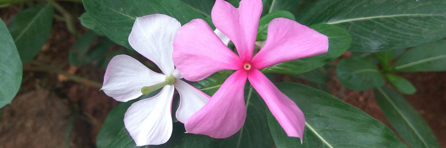 technastic_tc's profile banner image